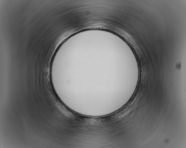 X0000101201234200807251018