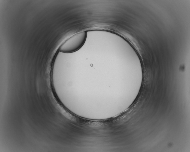 X0000101201235200807251018