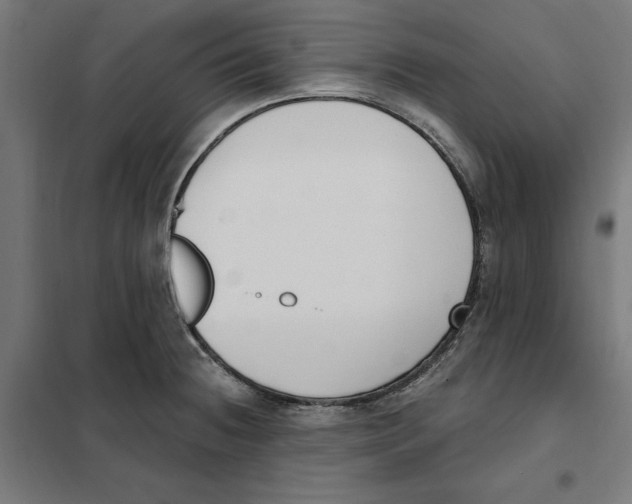 X0000101201236200807251018