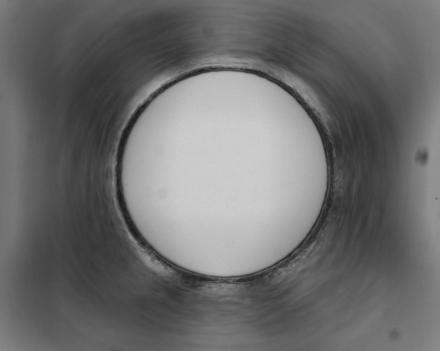 X0000101201237200807251018