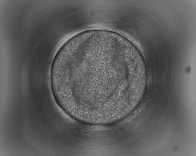 X0000101201239200807251018