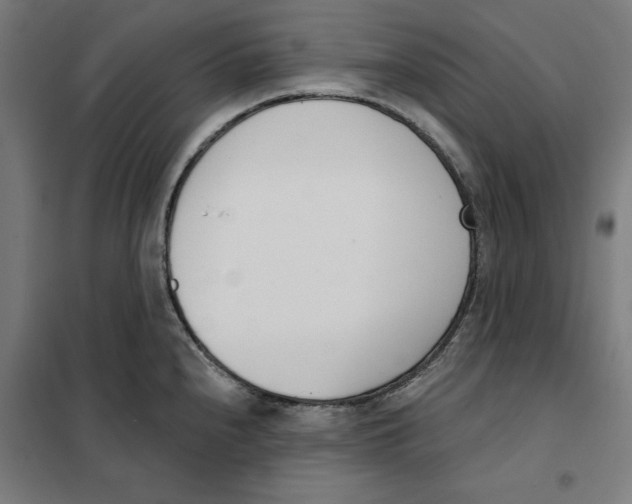 X0000101201240200807251018