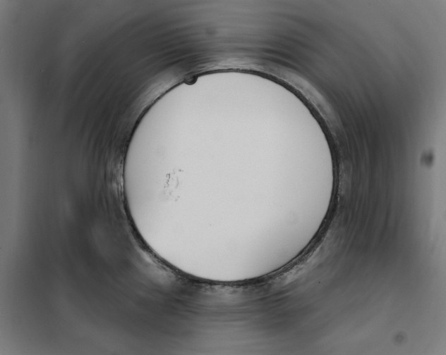 X0000101201241200807251018