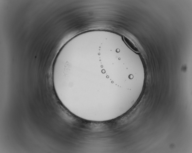 X0000101201242200807251018