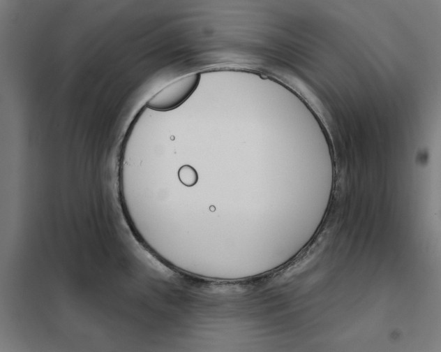 X0000101201243200807251018