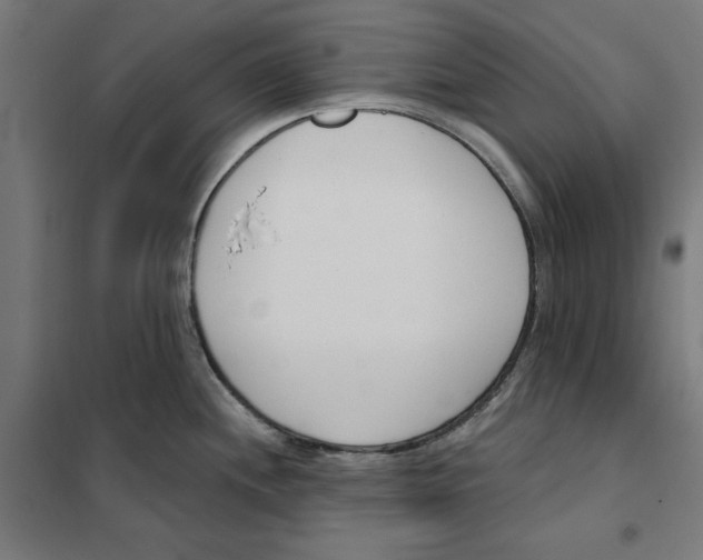 X0000101201244200807251018