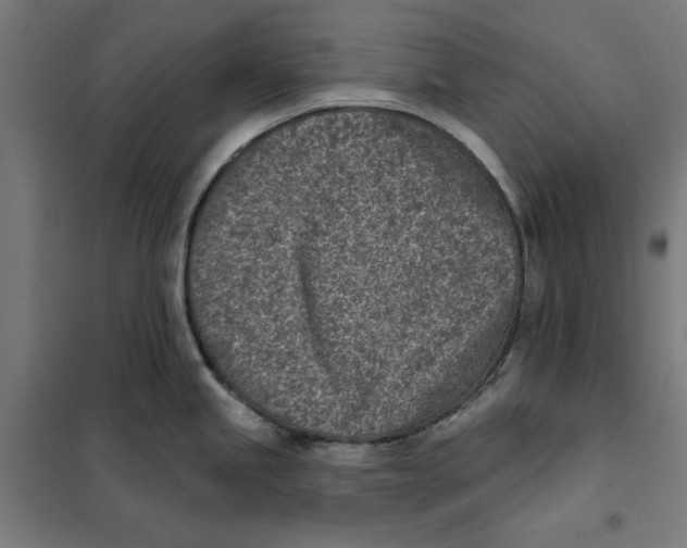 X0000101201245200807251018