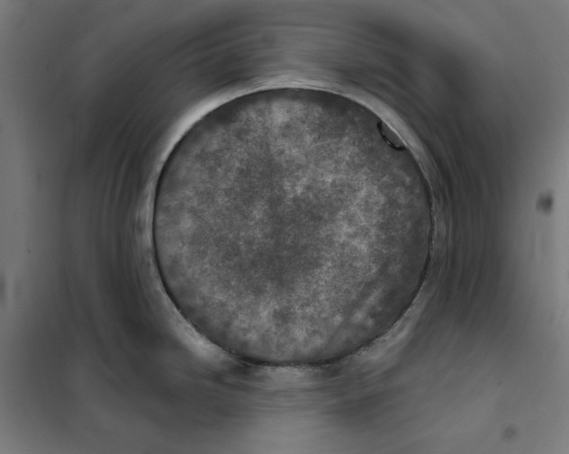 X0000101201246200807251018