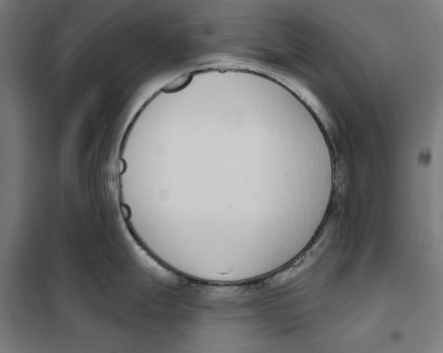 X0000101201247200807251018