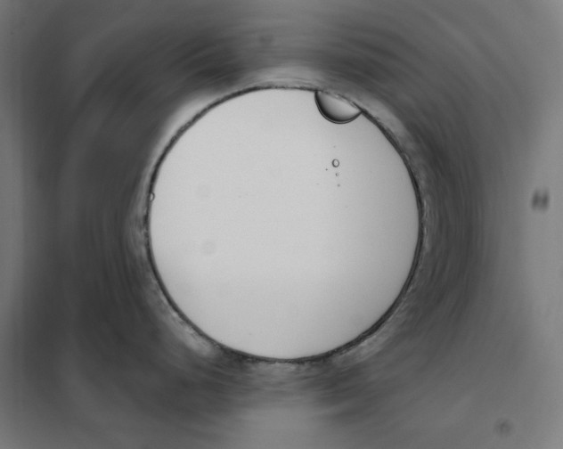 X0000101201248200807251018