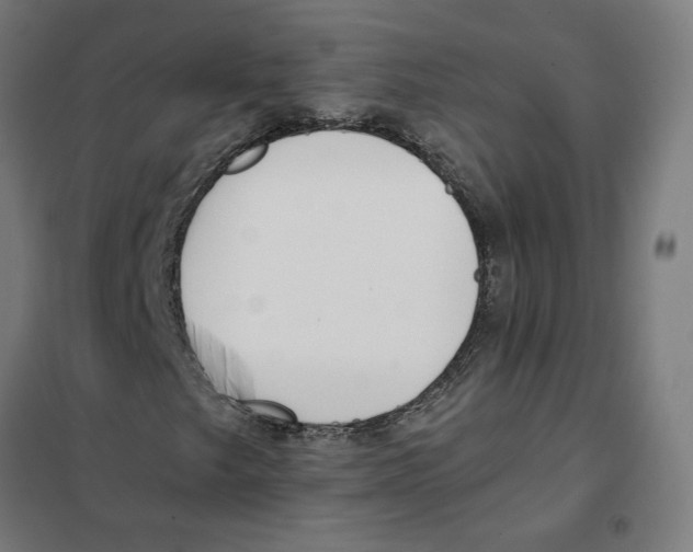 X0000101201249200807251018