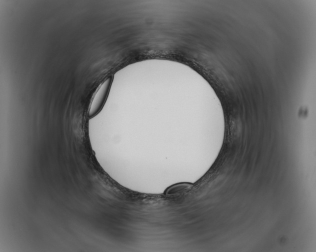 X0000101201250200807251017