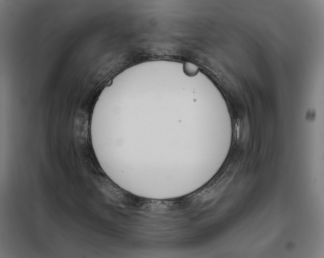 X0000101201251200807251017