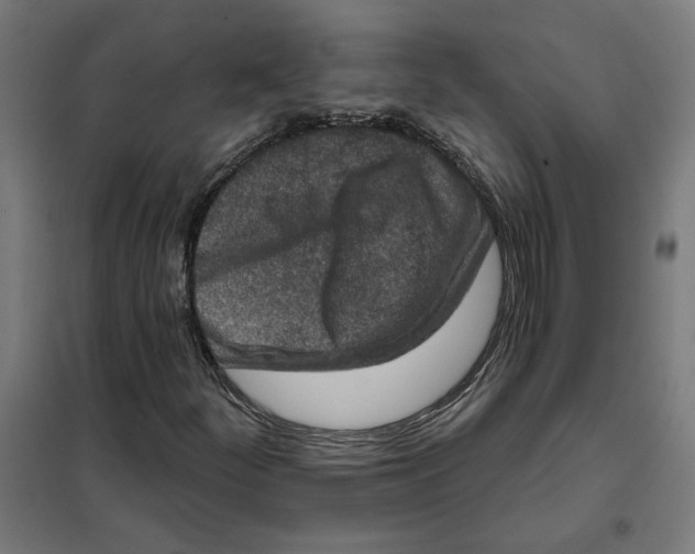 X0000101201252200807251017