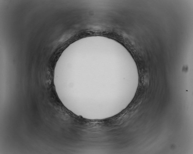 X0000101201253200807251017