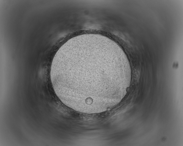 X0000101201254200807251017