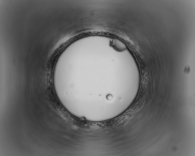 X0000101201255200807251017