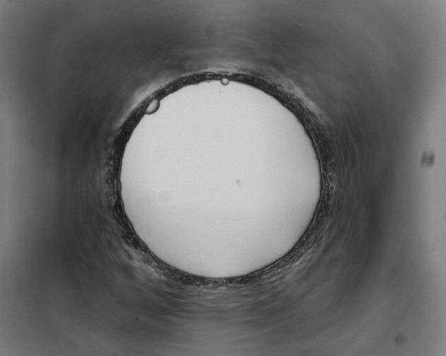 X0000101201256200807251017