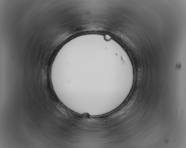 X0000101201257200807251017