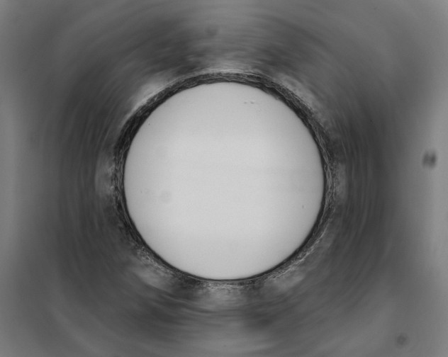 X0000101201258200807251017