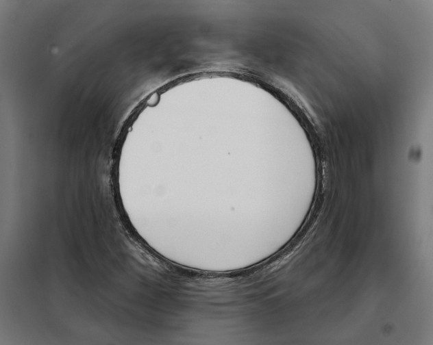 X0000101201260200807251017