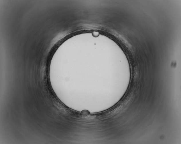 X0000101201261200807251017