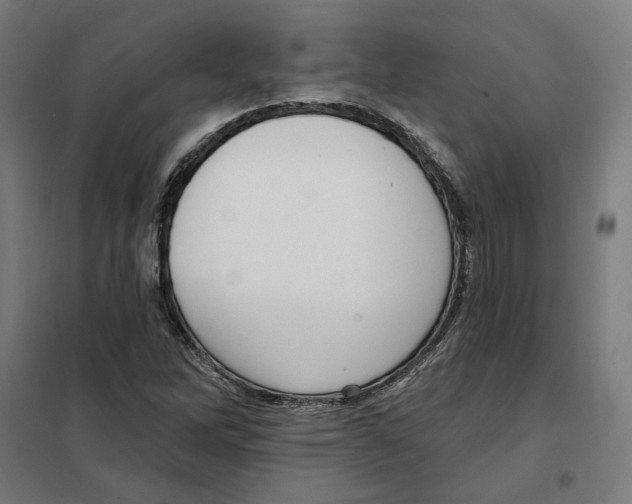 X0000101201262200807251017