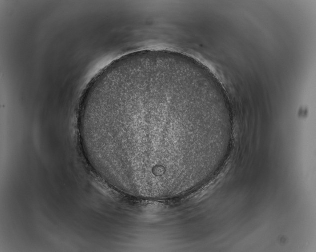 X0000101201263200807251017