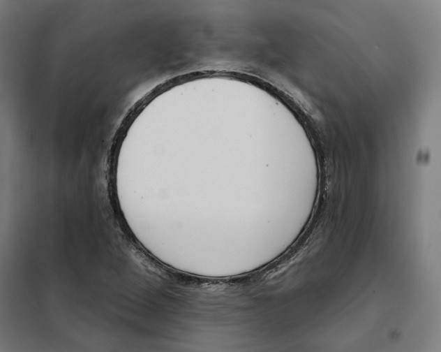 X0000101201264200807251017