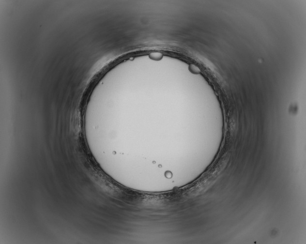 X0000101201267200807251017