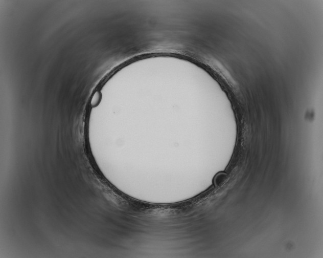 X0000101201268200807251017