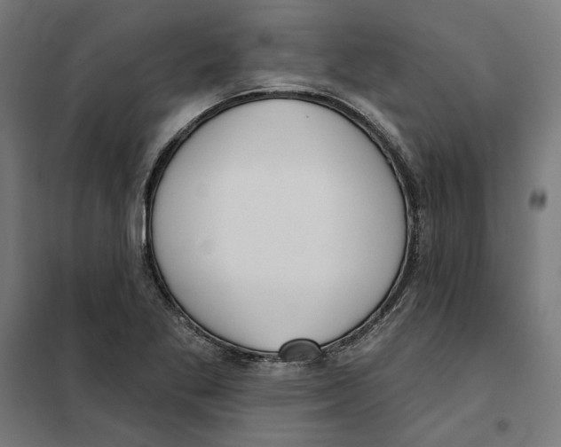 X0000101201269200807251017