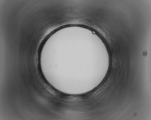 X0000101201270200807251017