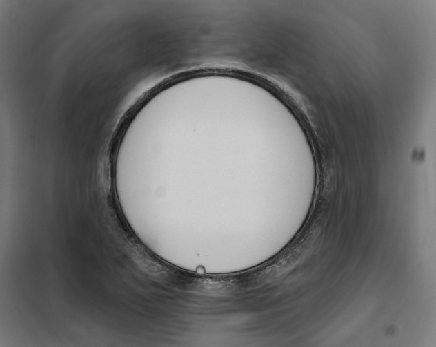 X0000101201271200807251017