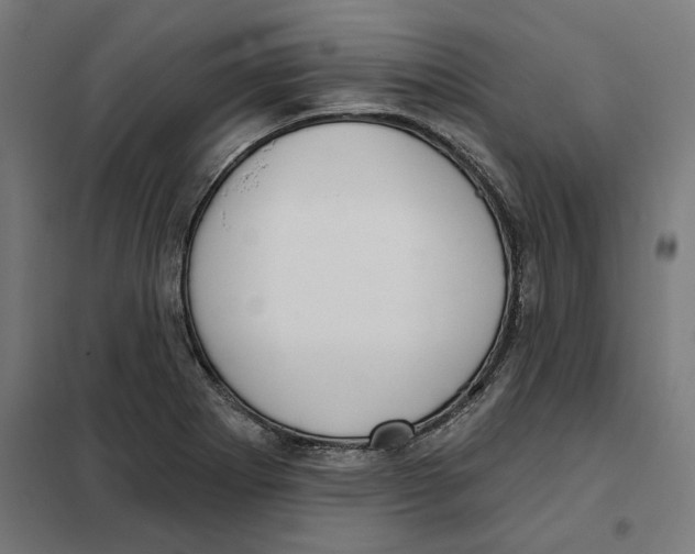 X0000101201273200807251017