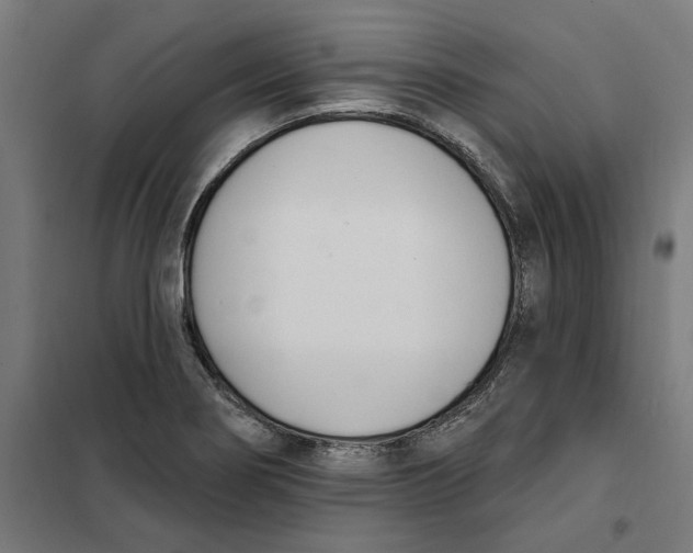 X0000101201274200807251017