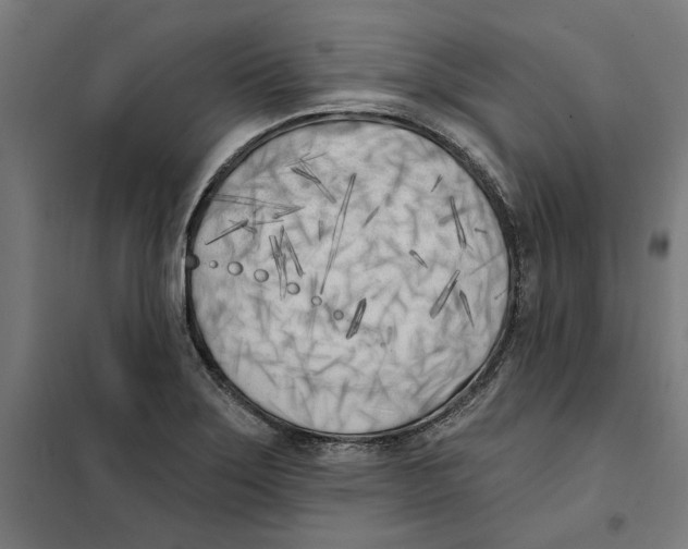 X0000101201275200807251017