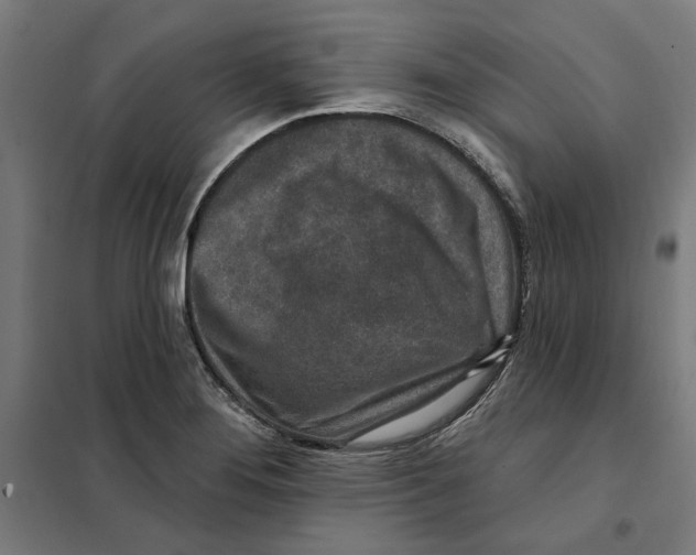 X0000101201276200807251017