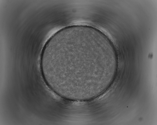 X0000101201277200807251017