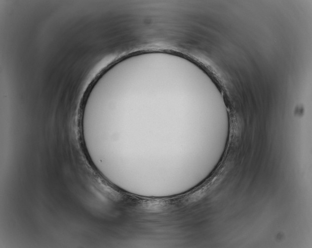 X0000101201278200807251017