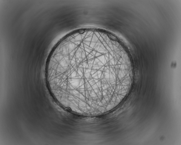 X0000101201279200807251017