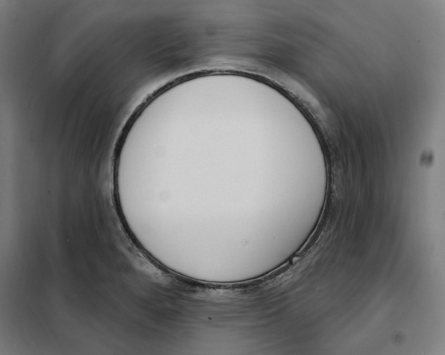 X0000101201280200807251017