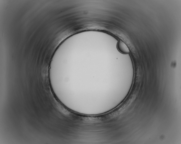 X0000101201281200807251017