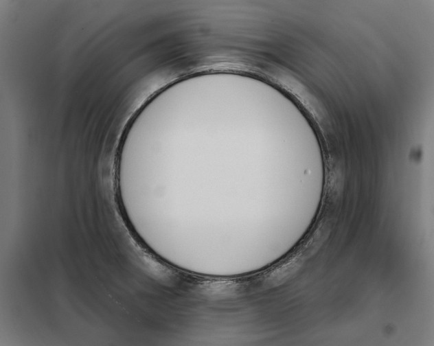 X0000101201282200807251017