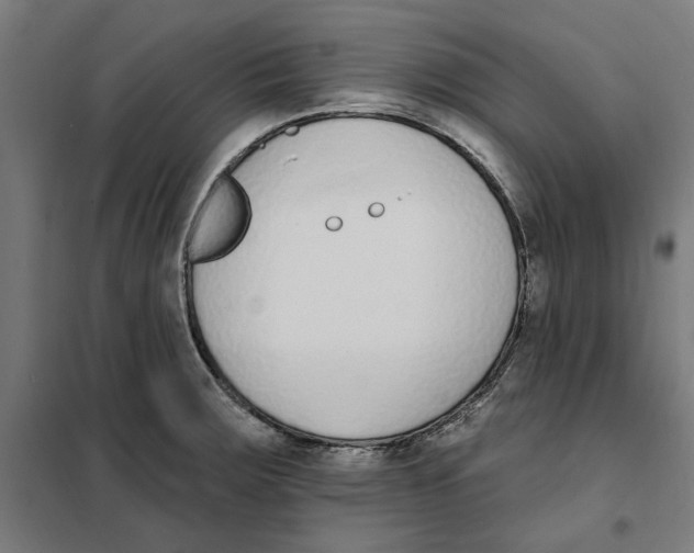 X0000101201283200807251017