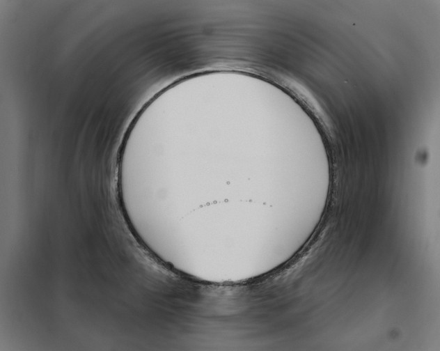 X0000101201284200807251017