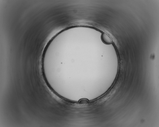 X0000101201285200807251017