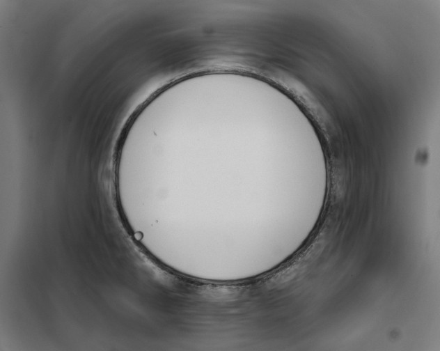 X0000101201286200807251017