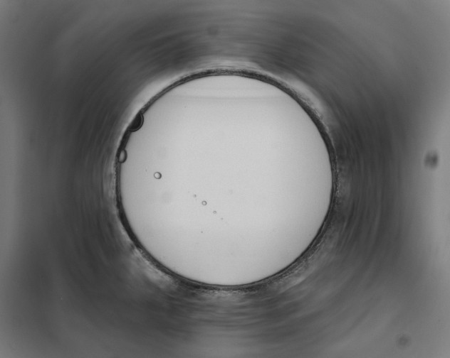 X0000101201287200807251017