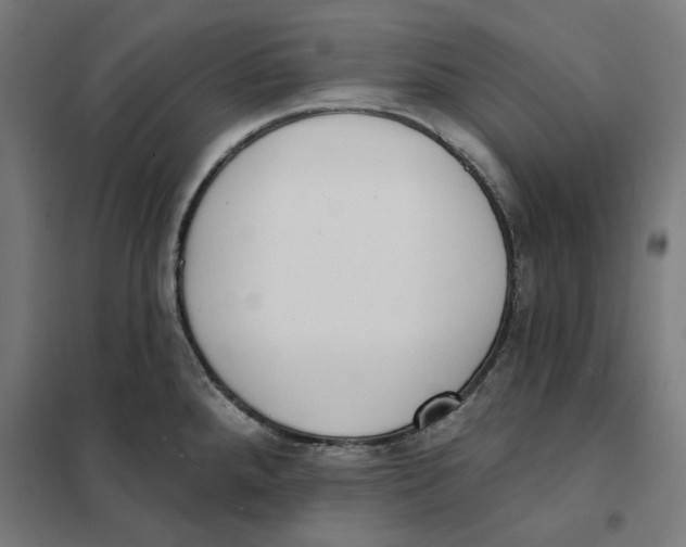 X0000101201288200807251017